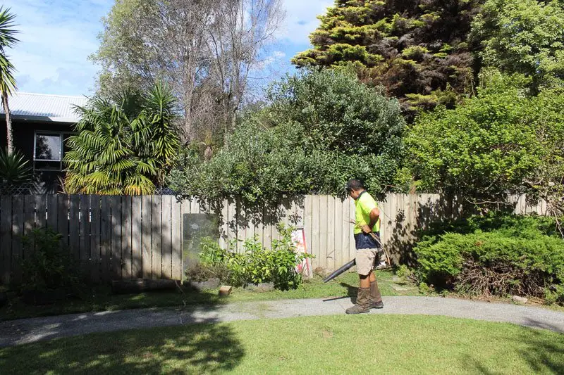 Kawana line trimming along a back fence in Whangarei