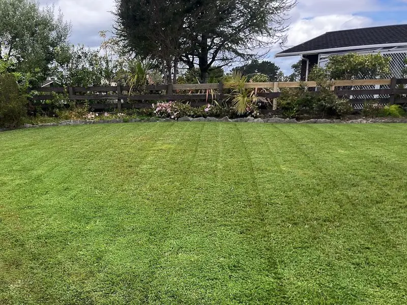 Front lawn mowed short and even at a Whangarei home