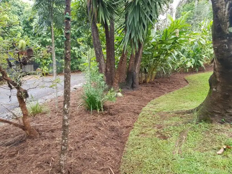 Tidied garden bed and path after a clean up