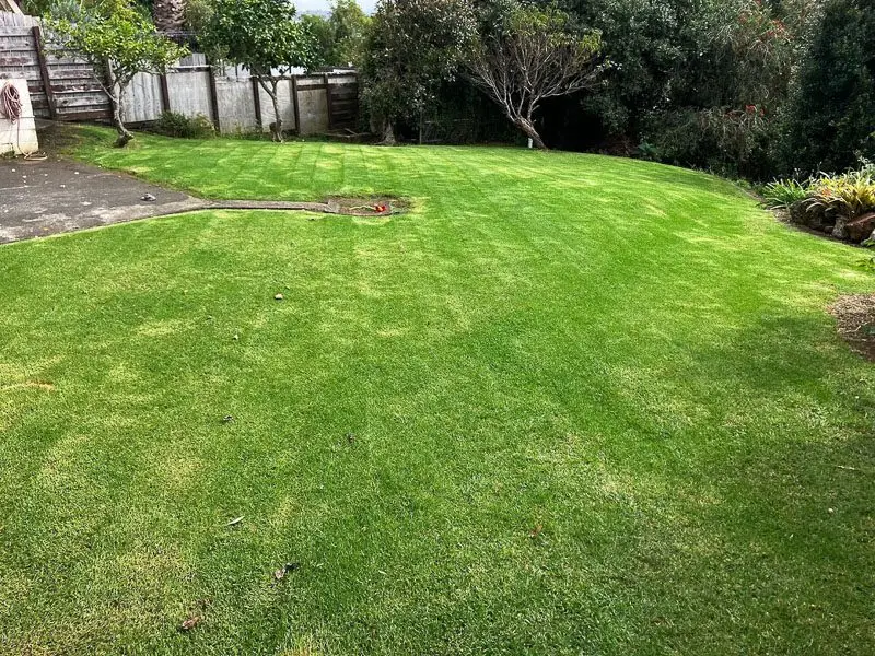 Large overgrown lawn cut back and mowed
