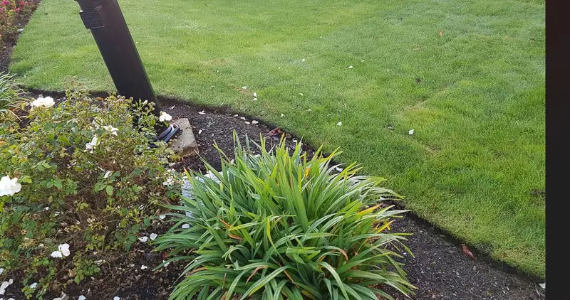 Weed-free edge between a lawn and a garden bed