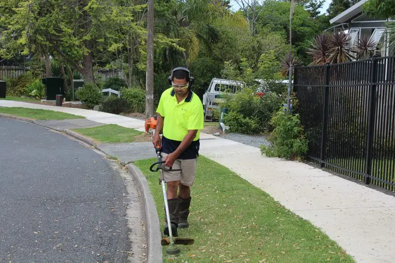 Roadside berm being line trimmed in Whangarei