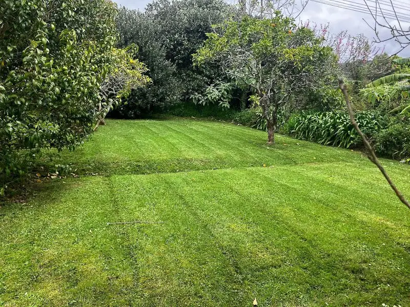 Striped lawn after a fortnightly mow in Whangarei